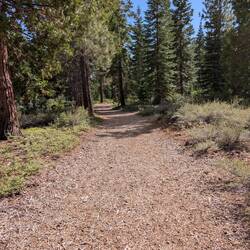 North Tahoe Regional Park