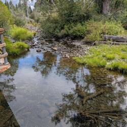 Salmon Creek