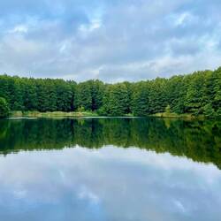 Ein bisschen wie Schweden