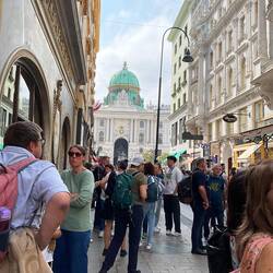 The Hofburg Palace from afar