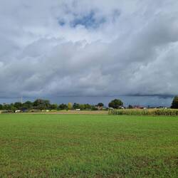 Blick zurück - so schwarz in Kehl