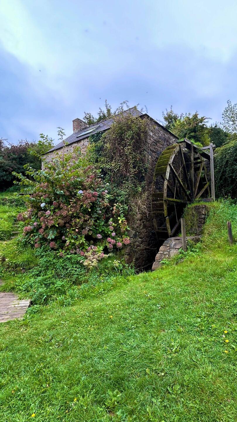 Sehr schön gelegen, leider sind die Hortensien schon verblüht