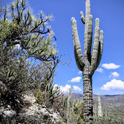 Hiking on rough terrain.
