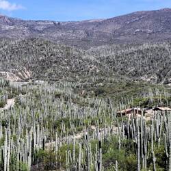 Mexico like in my dreams...