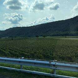 Weinanbaugebiete entlang der Autobahn