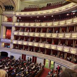 The auditorium