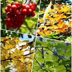 So langsam hält der Herbst Einzug