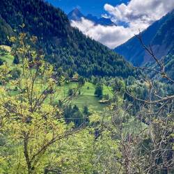 Eingang zum Binntal