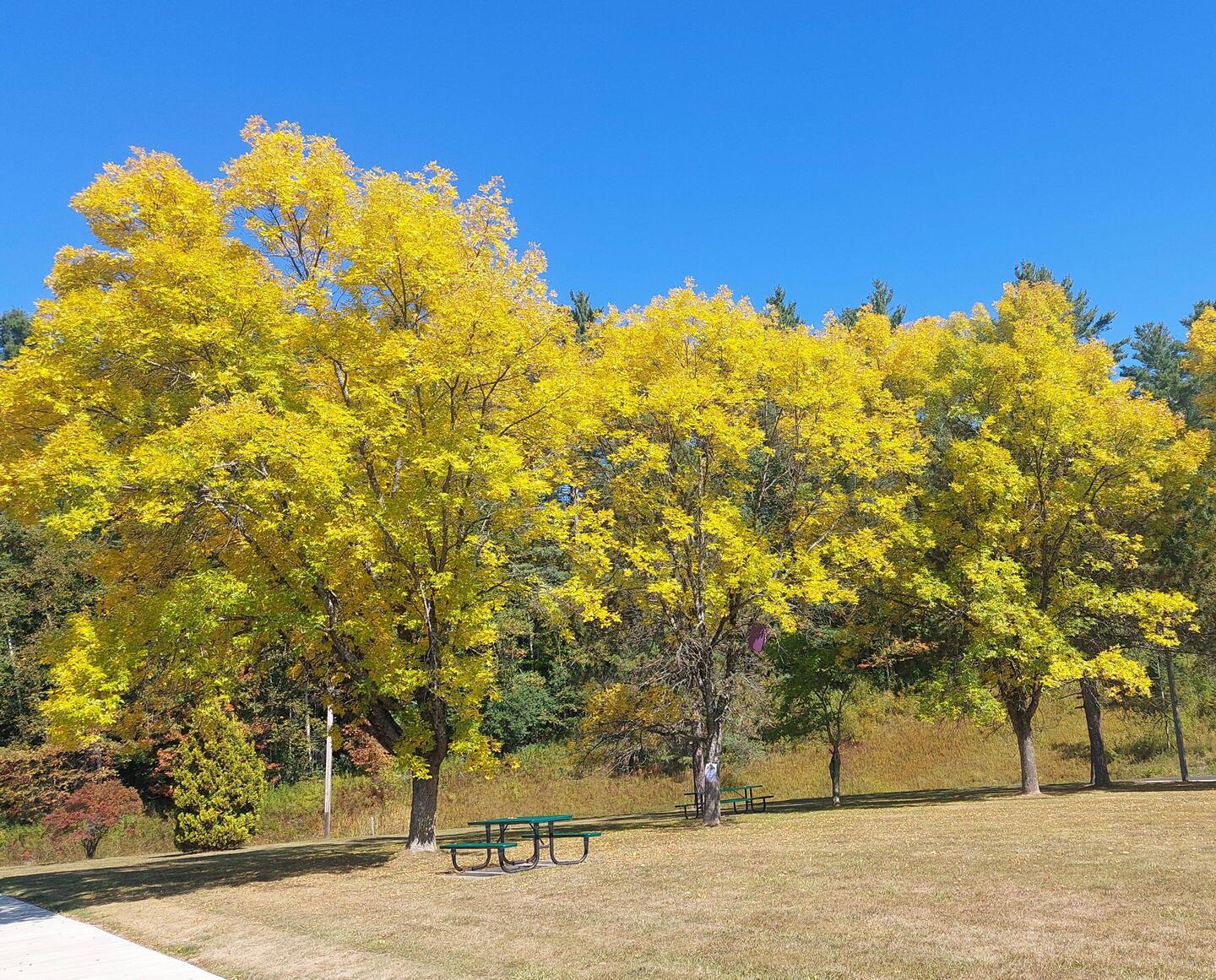 Ist das nicht wunderschön?