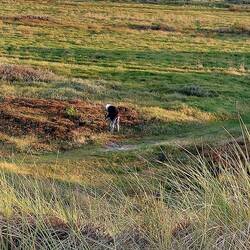 ...mit Mama in der Heide....
