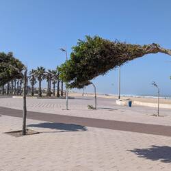 ...immer windig hier