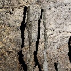 Stalagmiten aus Lava