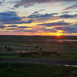 Sonnenuntergang von Küchenfenster aus😍