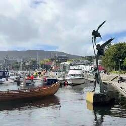 Video of the harbor