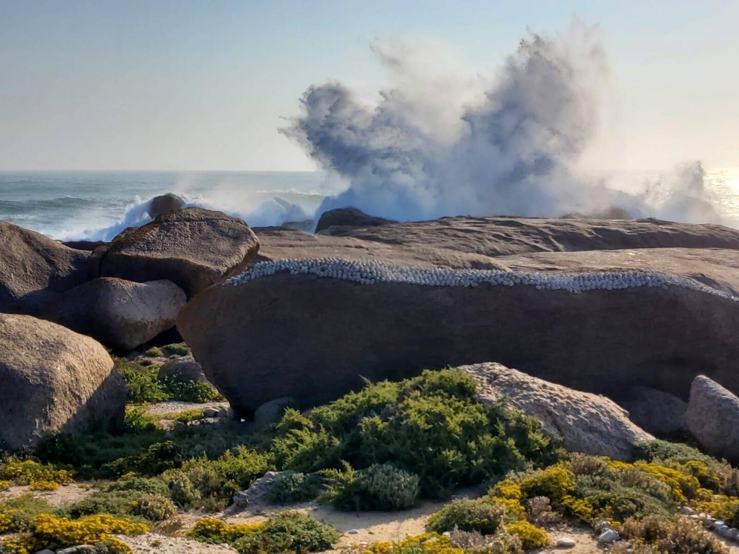 an den Felsen von Hondeklip Bay