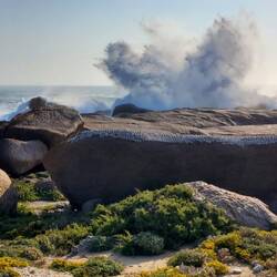 an den Felsen von Hondeklip Bay