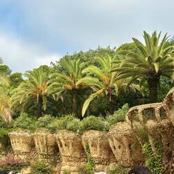 Stunning structures all over the park