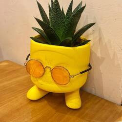 A few quirky little touches!