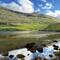 Cool reflections