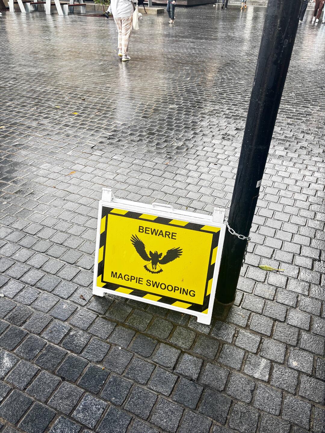 Ook op de universiteit zijn ze neergestreken!