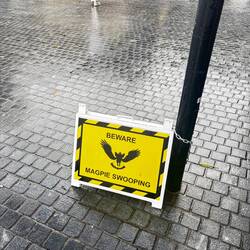 Ook op de universiteit zijn ze neergestreken!