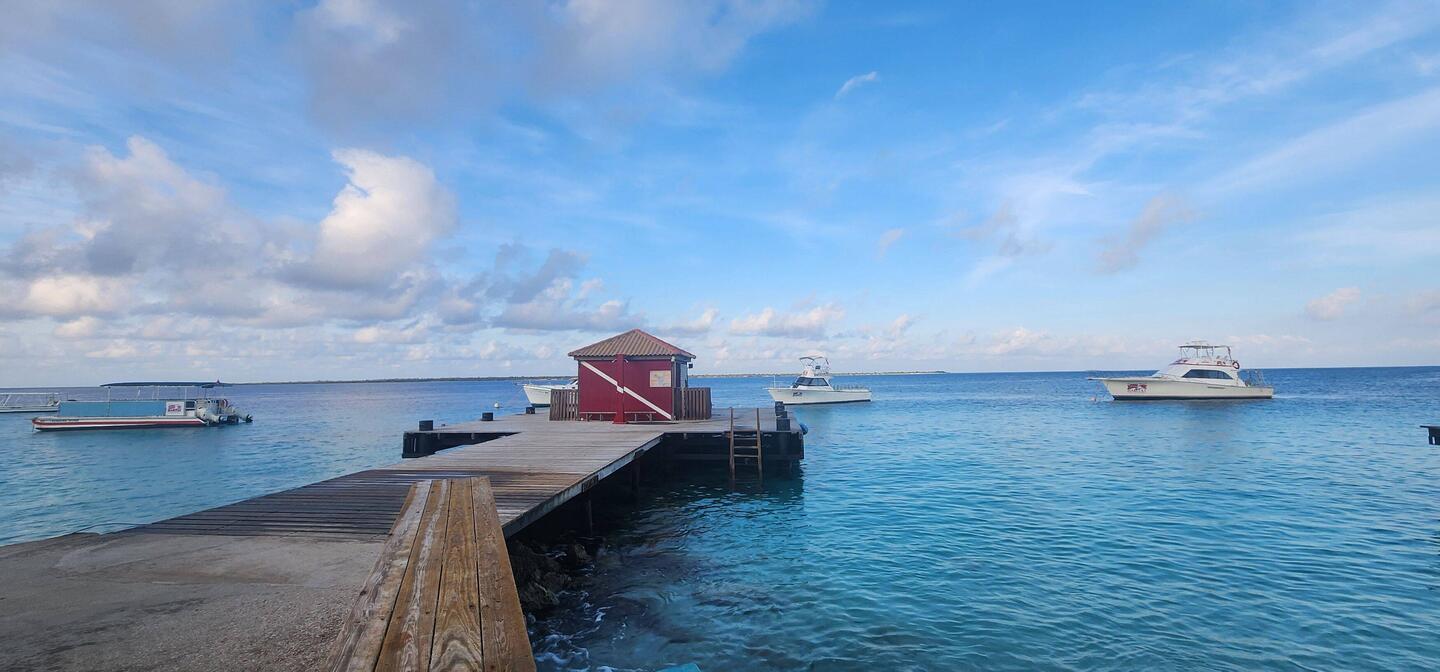 Dive centre dock
