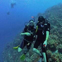 Dive buddies