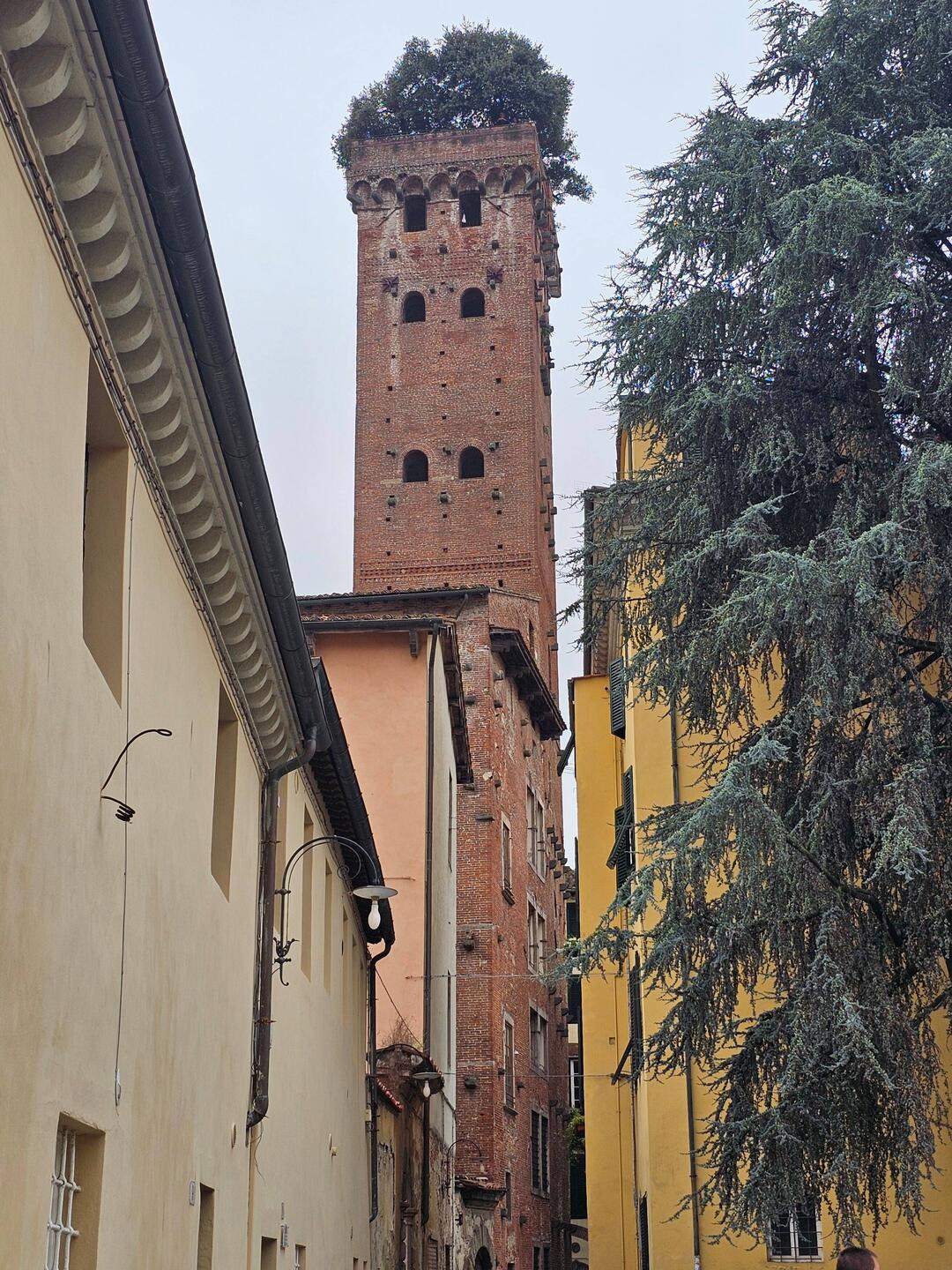 Lucca
