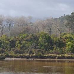 Mokihinui River