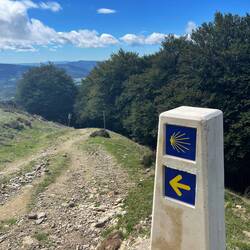 Starting the long trek down to Roncesvalles.