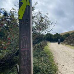 What goes up must come down 🙂