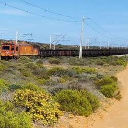 Der Zug ist 6 km lang, 3 Loks ziehen die Wagons über die 1 km lange Saldanha Railway Bridge