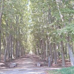 The local park to be explored later