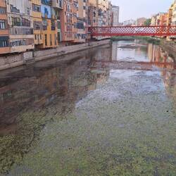 A few photos from our run