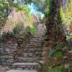 Steep steps down to Monterosso