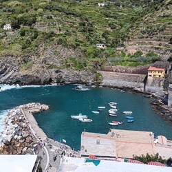 The harbor at Vernazza from the tower