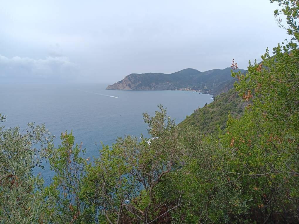 Looking north towards Monterosso