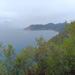 Looking north towards Monterosso