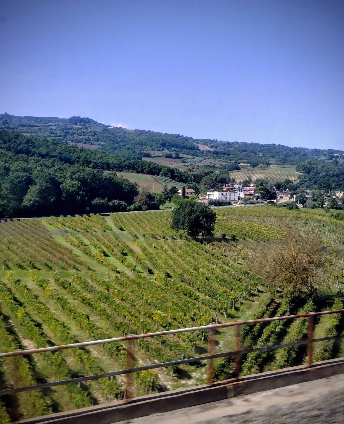 durchs Umland von Orvieto