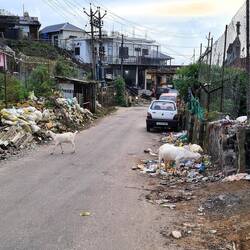 das Dörfchen ist leider nicht sehr sauber