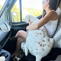 Das kann nicht bequem sein aber er liebt es 🥰