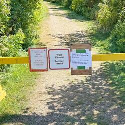 ob den Bär das stört🥺