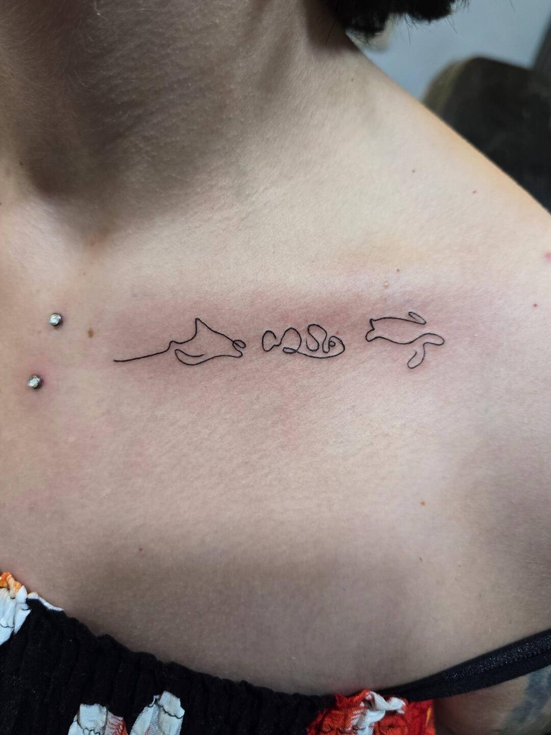 Manta, Fischlii, Schildchrötli 🥰