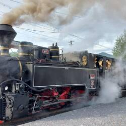 Our steam-powered train uses timber for fuel