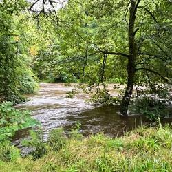The walk through the property with the flooding river.