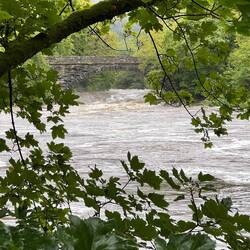 Roman bridge in the distance.