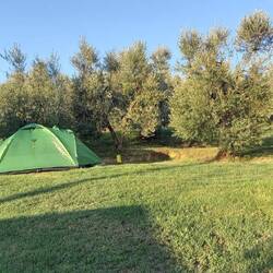 1er Spot de camping