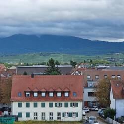 Tief hängen die Wolken im Schwarzwald