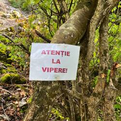 Hier wird vor Hornottern gewarnt.