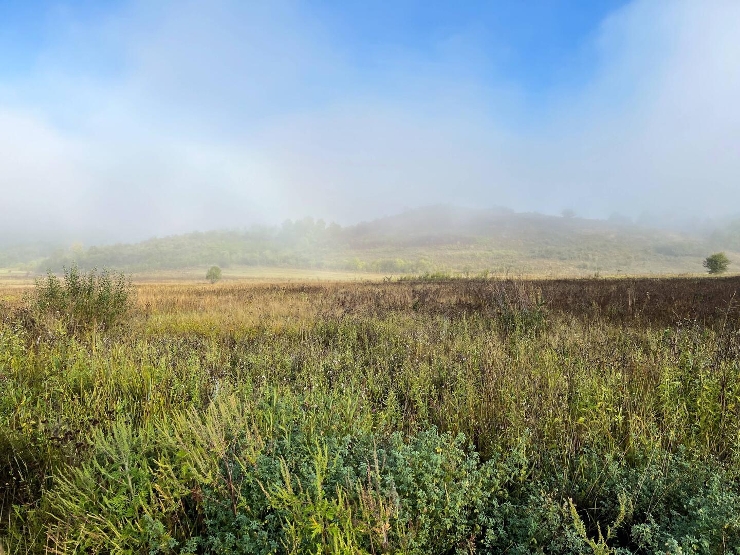 Der Nebel verschwindet.